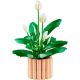 17. LEGO Botanical 11504 Spathiphyllum in a Pot