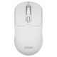 SAVIO WIRELESS MOUSE BT 2.4 GHZ WHITE MB-05