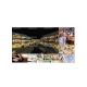12. LG 55VSM5J-H signage display, Flat panel Digital Signage, 139.7 cm (55") LED, Wi-Fi, 500 cd/m², Full HD, Black, 24/7