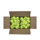 3. Wilson Triniti Club WR8201501001 tennis ball