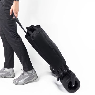 8. Wozinsky WZP-100 beach, tourist, garden trolley, durable, wide wheels, with safety net up to 100 kg - black