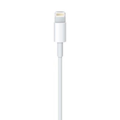 2. Lightning to USB Cable (0.5 m)