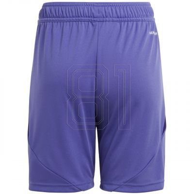 2. Adidas Tiro 24 Jr IT2419 shorts