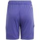 2. Adidas Tiro 24 Jr IT2419 shorts