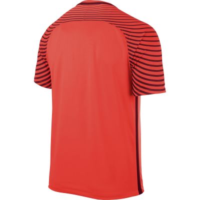 2. Nike Gardien M 725889-671 Goalkeeper Shirt