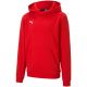 3. Puma teamGOAL 23 Casuals Hoody Jr 656711 01