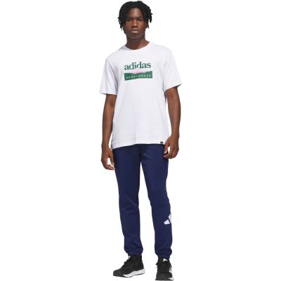 6. adidas Sportsman Mountain Graphic Men's T-Shirt White KC9254