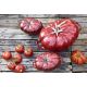 5. Oval cast-iron tomato pot STAUB 40511-774-0 – red, 2.5 l
