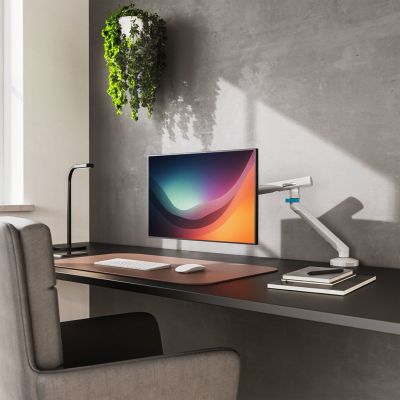 3. Digitus Single Monitor Arm, 35", 10 kg