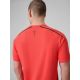 7. Men's quick-drying regular training T-shirt 4F 4FRSS26TFTSM2441-62S