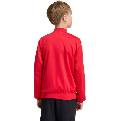 5. adidas Essentials Cimacool Kids Sweatshirt Red KQ9728