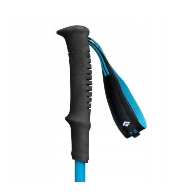 4. Black Diamond BD112555-4007 trekking poles size 110