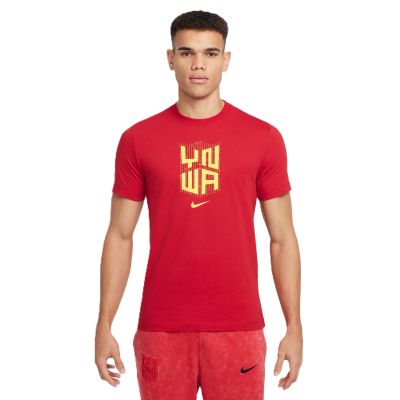 Nike Liverpool FC T-shirt M HJ4268-687
