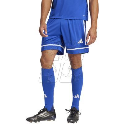 Shorts adidas Squadra M 25 Short JN5465