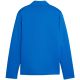 3. Puma TeamGoal Training Jacket Jr 658634 02 sweatshirt