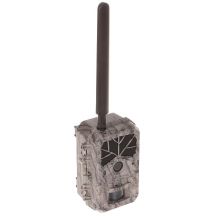 HC-BG636-48M BOLY camera trap