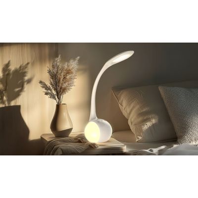 9. AJE-RAINBOW RGB 2 LED Desk Lamp