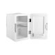 9. Mini fridge with LED makeup mirror ELLE 6L white