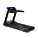 21. PERFORM T3i Electric Treadmill