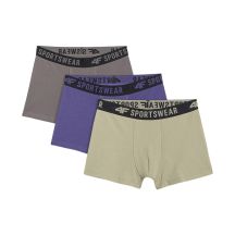 Boy's boxers 4F M061 3-pack multicolor 1 4FJWAW25UBXSM061 91S