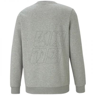 2. Sweatshirt Puma ESS Small Logo Crew FL M 586682 03