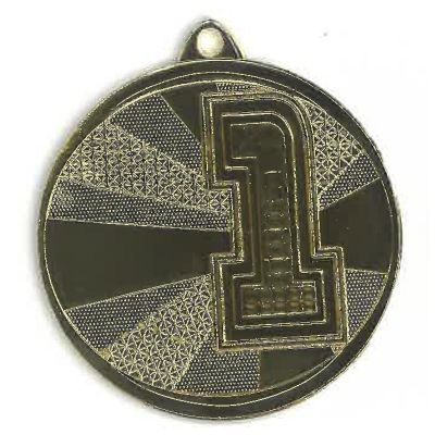 5. Gold steel medal, first place MMC29050/G