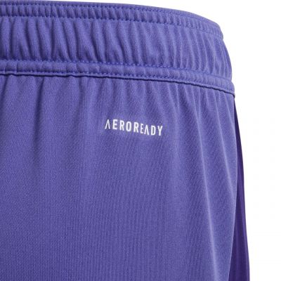 3. adidas Tiro 24 Jr IT2419 Shorts