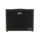 Peavey VYPYR X2 - 40W Guitar Amplifier