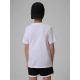 2. Boy's regular printed T-shirt 4F 4FJRSS26TTSHM3599-10S