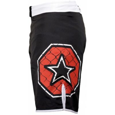 2. TOP TEN MMA shorts