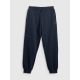 7. Men's jogger sweatpants 4F 4FRSS26TTROM1861-31S