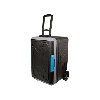 13. 42L BLOW compressor car travel refrigerator