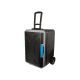 13. 42L BLOW compressor car travel refrigerator
