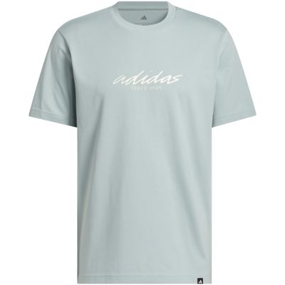2. Men's adidas Color Connect Graphic T-shirt gray KE1314