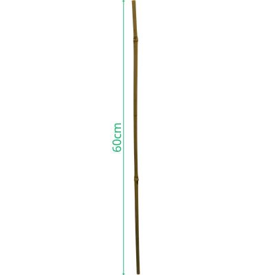 14. PROGARDEN BAMBOO PLANT SUPPORT 60 CM 10 PCS