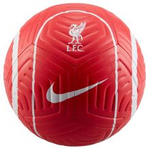 Football Nike Liverpool FC Strike DJ9961-657