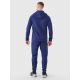 5. Men's quick-drying training pants 4F 4FWSS25TFTRM0836-30S