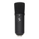 10. STAGG SUM45 Set - USB Condenser Microphone