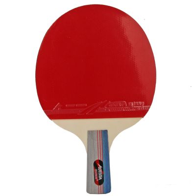 3. AURORA SG6166 *** table tennis set