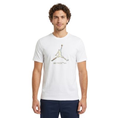 4. Air Jordan Sport Men's Dri-FIT T-Shirt White - HQ7984-100
