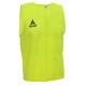 SELECT BASIC senior yellow tag