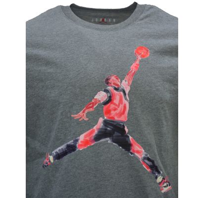 2. Air Jordan Brand Graphic T-shirt Men's Gray - FN5980-091