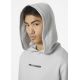 8. Helly Hansen Core Graphic Sweat Hoodie M 53924 825