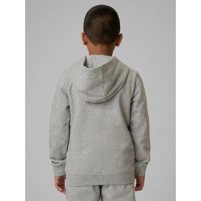 2. Boy's regular hooded sweatshirt 4F 4FJRMM00TSWSM2747-25M