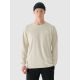 Men's oversized longsleeve with print 4F 4FRAW24TLONM502-12S