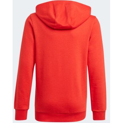 2. Adidas Essentials Big Logo Hoodie Jr GN4037 sweatshirt