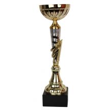 Triumph Cup W1991