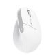 3. TRUST Bayo+ Multidevice Wireless Ergonomic Mouse