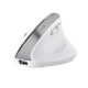2. TRUST Bayo+ Multidevice Wireless Ergonomic Mouse