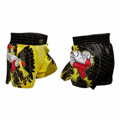 2. JUNIOR MFC "EAGLE" training shorts